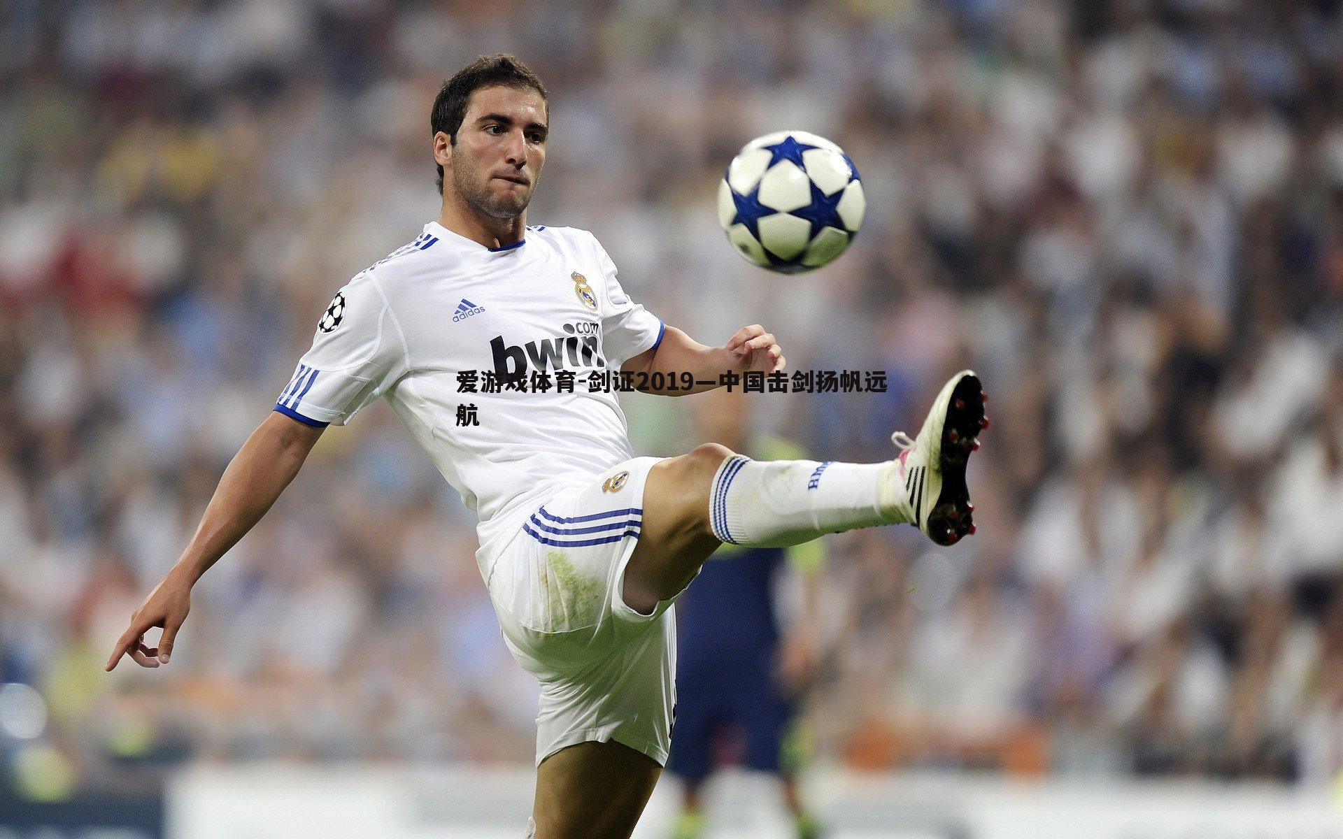 剑证2019—中国击剑扬帆远航